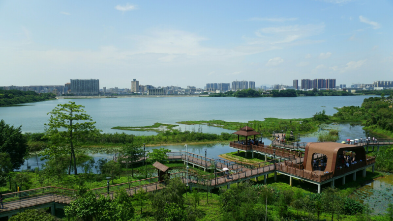 盤點深圳十大最美公園，你最愛的是哪個公園？